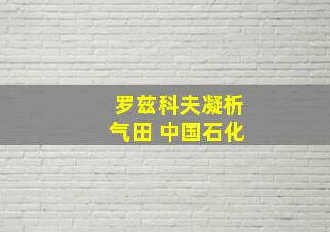 罗兹科夫凝析气田 中国石化